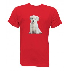 CAMISETA PERRO